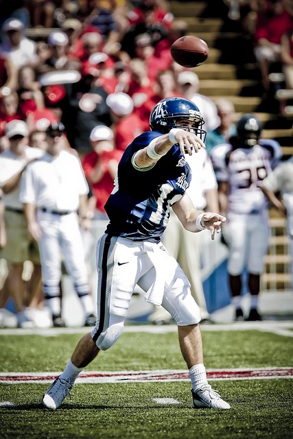 皇家马德里 皇家马德里